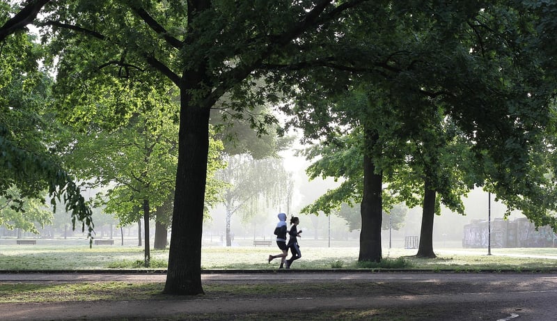Gratitude run for a positive mindset